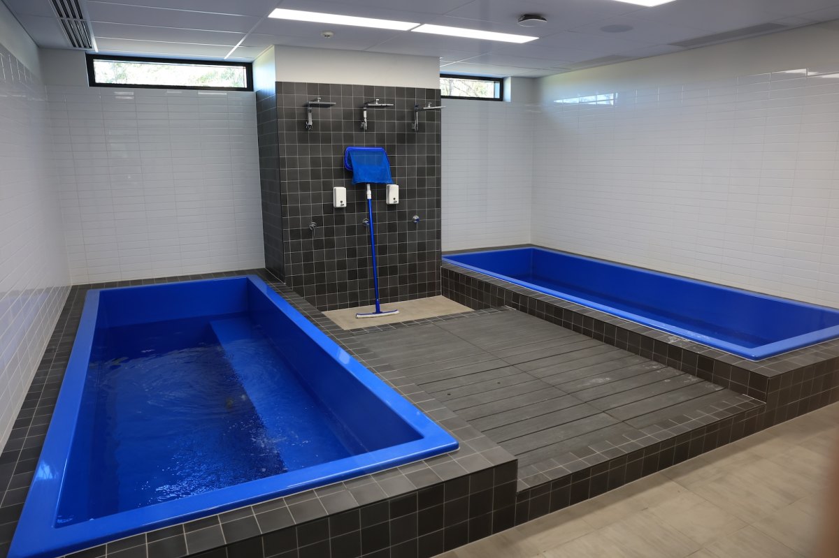 GettyImages-1633073573 Inside the Cold Therapy Market With Smart Plunges and Ice Baths