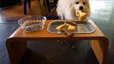 GettyImages-82077707-Built-In-Pet-Feeding-Stations-What-They-Cost-Where-They-Go-and-8-Trendy-Designs-Worth-the-Hype
