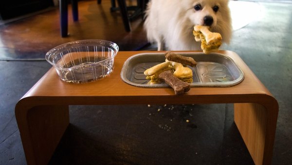 GettyImages-82077707-Built-In-Pet-Feeding-Stations-What-They-Cost-Where-They-Go-and-8-Trendy-Designs-Worth-the-Hype