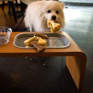 GettyImages-82077707-Built-In-Pet-Feeding-Stations-What-They-Cost-Where-They-Go-and-8-Trendy-Designs-Worth-the-Hype