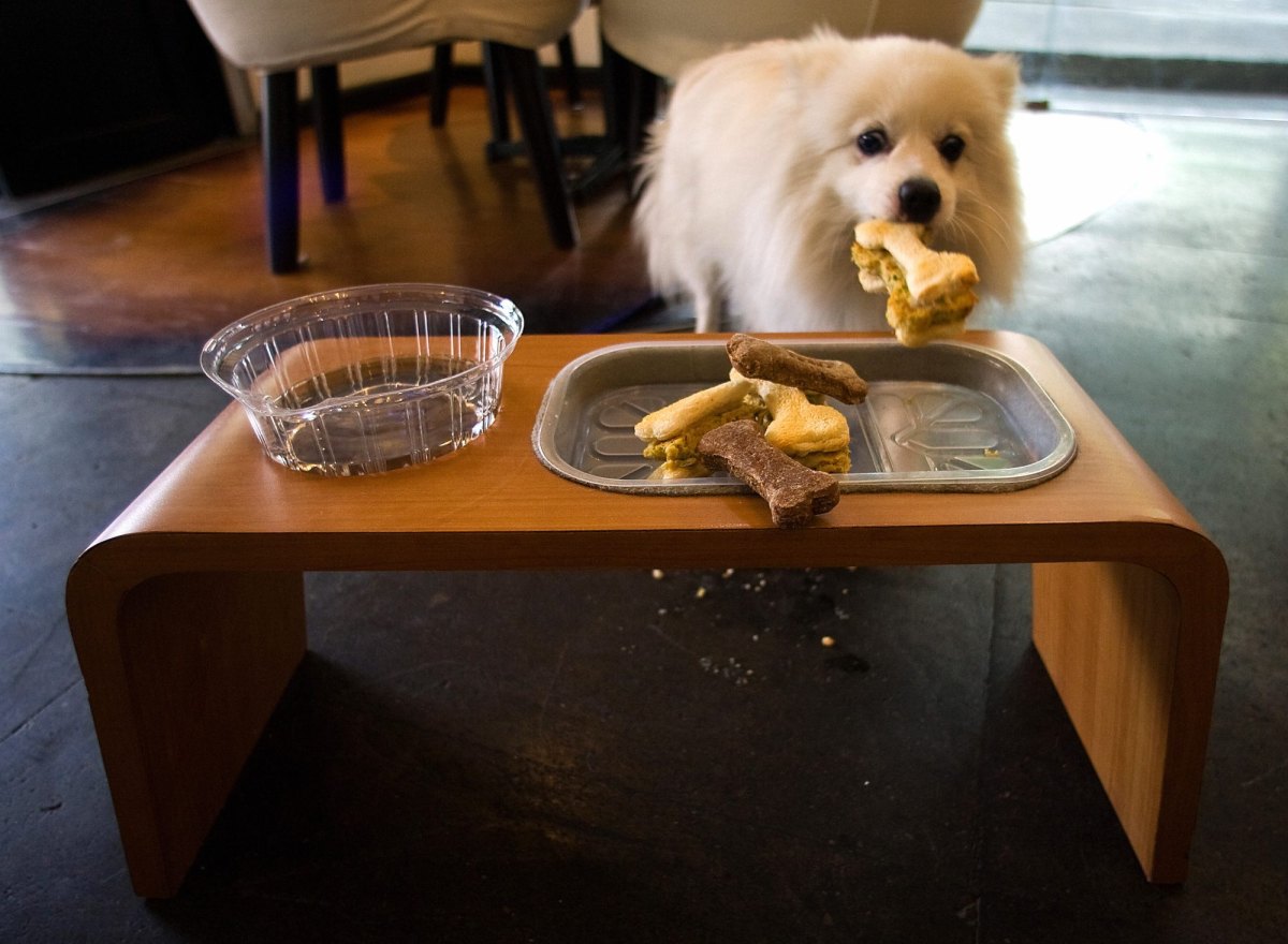 GettyImages-82077707-Built-In-Pet-Feeding-Stations-What-They-Cost-Where-They-Go-and-8-Trendy-Designs-Worth-the-Hype