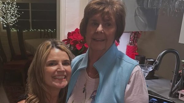 Hair Found in Nancy Guthrie's Home Didn't Contain Any DNA, Says Sheriff