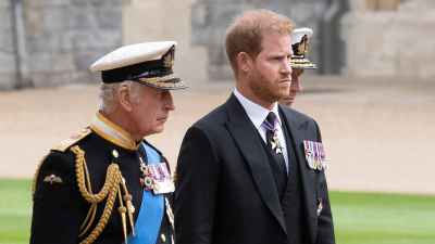 King-Charles-and-Prince-Harry-GettyImages-1243366736