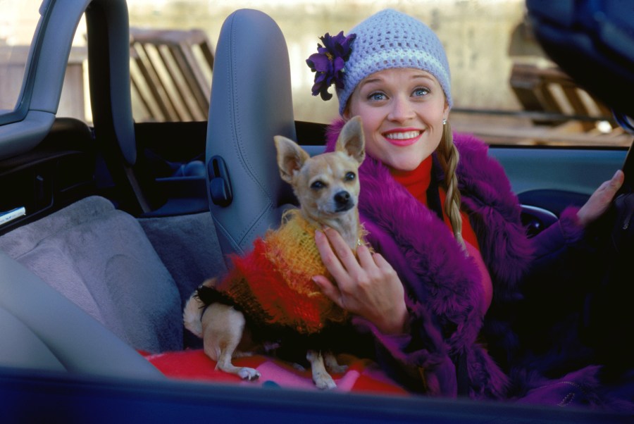 MCDLEBL_EC004 Legally Blonde 25 Things.jpg