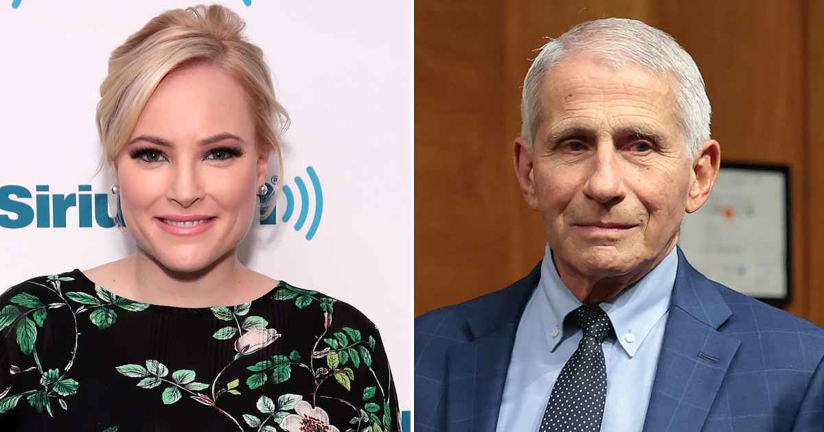 Meghan McCain critica boato testemunho do Dr. Anthony Fauci