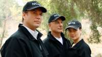 Michael Weatherly and More of the Biggest NCIS Franchise Returns Through the Years