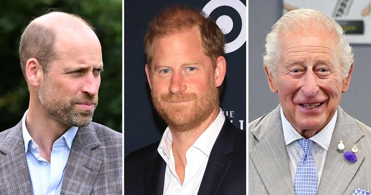 Inside Prince Harry’s ‘Lighthearted’ Reunion With King Charles: How Prince William Feels About It (Exclusive) Inside Prince Harry’s ‘Lighthearted’ Reunion With King Charles: How Prince William Feels About It (Exclusive)