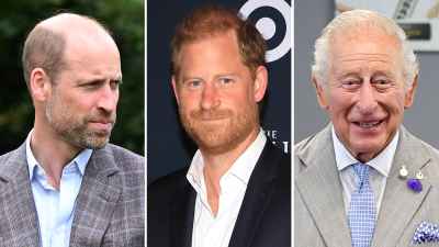 Prince William Prince Harry King Charles Reunion