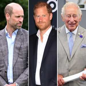 Prince William Prince Harry King Charles Reunion