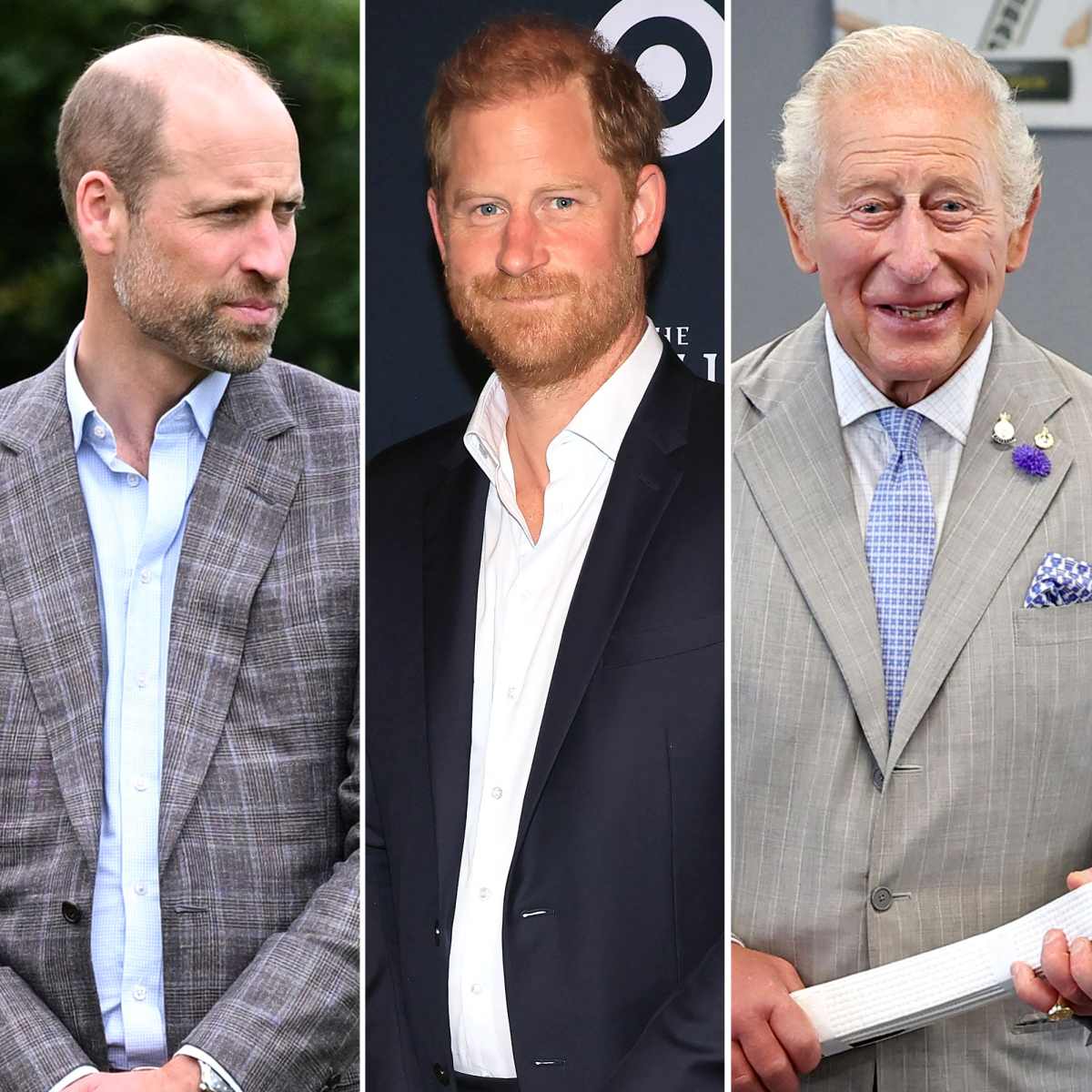Prince William Prince Harry King Charles Reunion