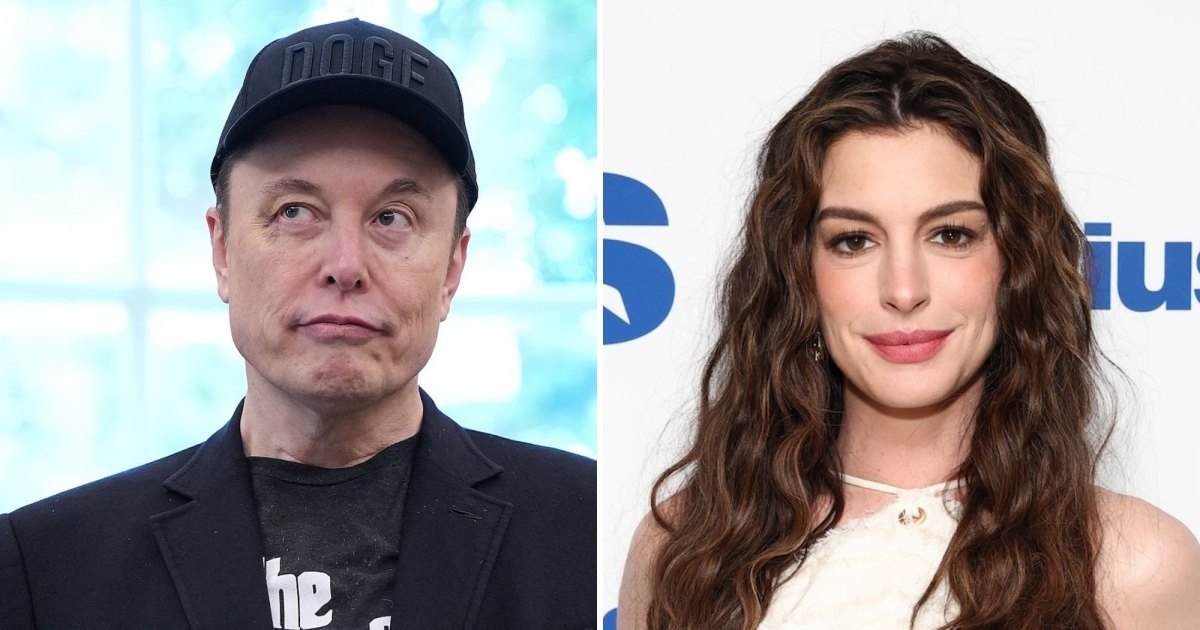 Elon Musk Calls Anne Hathaway Marionette After Trans Speech Elon Musk Calls Anne Hathaway Marionette After Trans Speech