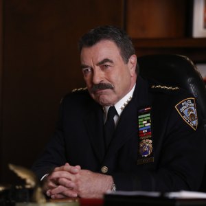 BLUE BLOODS