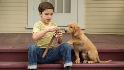 Bryce Gheisar in A Dog's Purpose