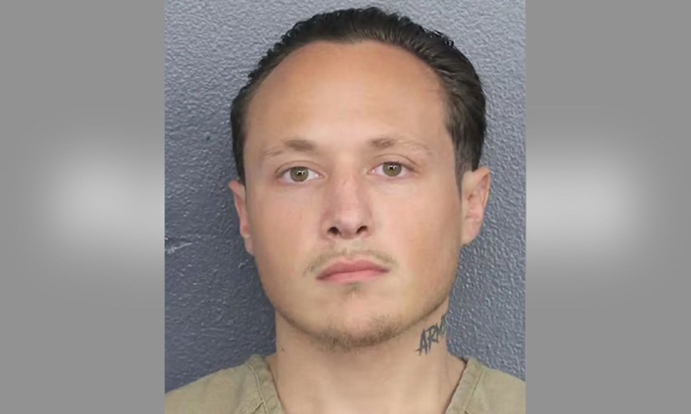 ‘Long Island Lolita’ Amy Fisher’s Son Arrested After He Allegedly Killed Cat Alongside Girlfriend