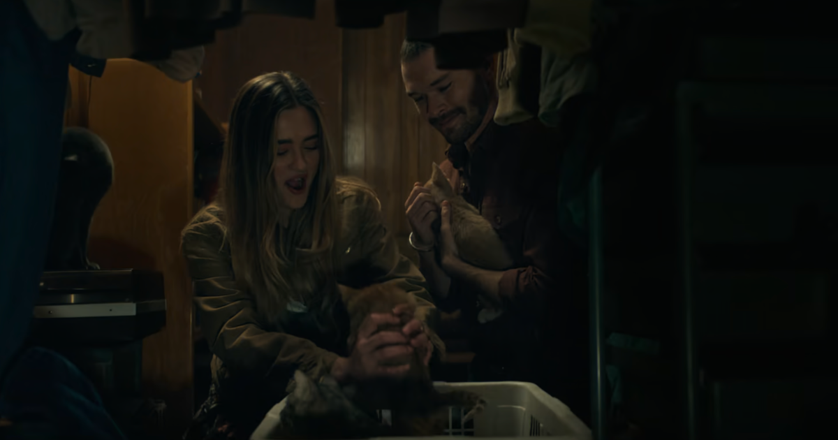 What Happened to Kit and Lauren’s Adorable Kittens on ‘Ransom Canyon’ After Their Season 2 Debut? (Exclusive) What Happened to Kit and Lauren’s Adorable Kittens on ‘Ransom Canyon’ After Their Season 2 Debut? (Exclusive)