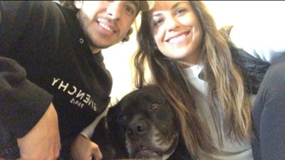 764364320_18611406481056878_7267782116067712500_n meredith gaudreau johnny gaudreau dog.jpeg