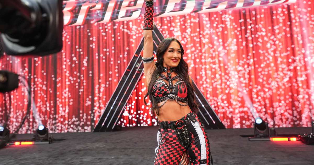 Brie Bella Suffers Shoulder Injury at WWE SummerSlam, ‘Taken to the Hospital’ for Further Evaluation Brie Bella Suffers Shoulder Injury at WWE SummerSlam, ‘Taken to the Hospital’ for Further Evaluation