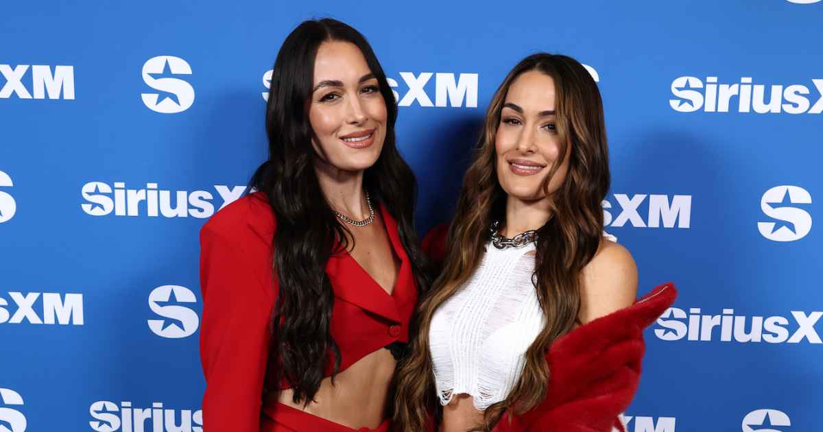 Nikki Bella Says Sister Brie ‘Is in a Lot of Pain’ After SummerSlam Shoulder Injury Nikki Bella Says Sister Brie ‘Is in a Lot of Pain’ After SummerSlam Shoulder Injury