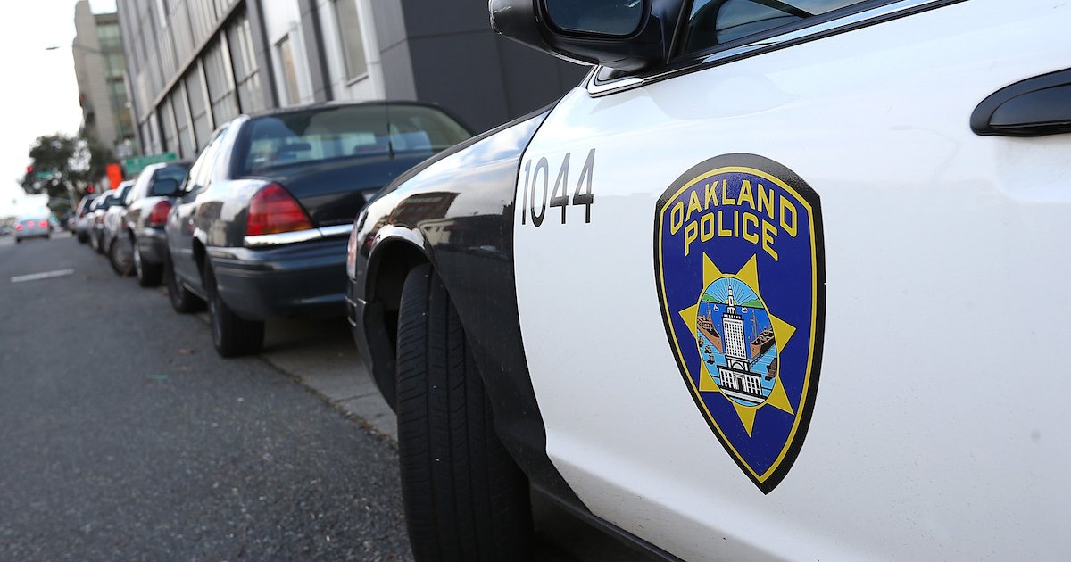 Brothers, 7 and 4, Critically Injure Woman Walking Dog After They Took Parents’ Car for a Drive Brothers, 7 and 4, Critically Injure Woman Walking Dog After They Took Parents’ Car for a Drive