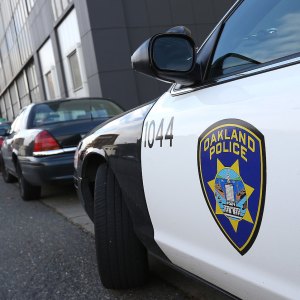 Brothers, 7 and 4, Critically Injure Woman Walking Dog After They Took Parents' Car for a Drive