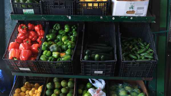 GettyImages-2246722148 How to Shop at a Farmers Market Like a Pro, Using Loose Recipe Formats and Smart Storage Techniques