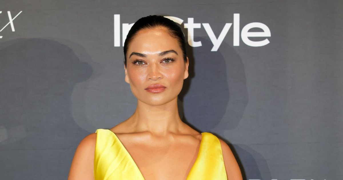 Supermodel Shanina Shaik Is Pregnant With Baby No. 2: A New Chapter Supermodel Shanina Shaik Is Pregnant With Baby No. 2: A New Chapter