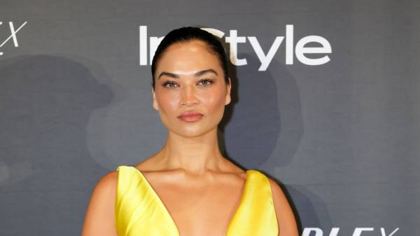 Supermodel Shanina Shaik Is Pregnant With Baby No. 2, Her 1st With Music Executive Ryan Press