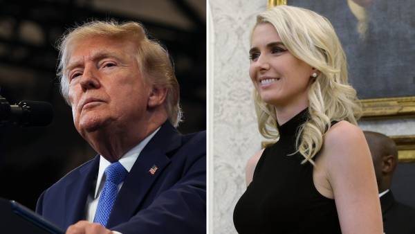Natalie Harp's Estranged Brother Calls Out 'Unhealthy Obsession' With Trump