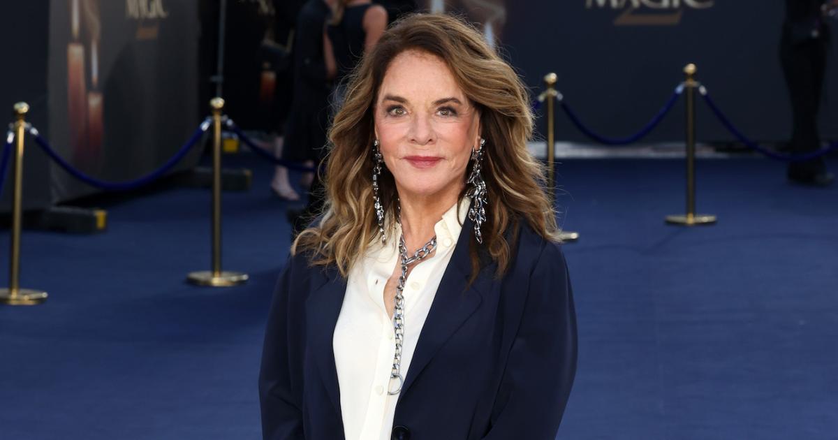 ‘Recluse’ Stockard Channing Attends Practical Magic 2 Premiere ‘Recluse’ Stockard Channing Attends Practical Magic 2 Premiere
