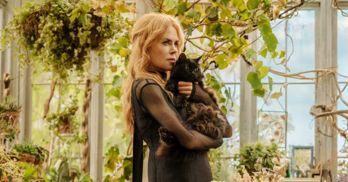 Before ‘Practical Magic 2,’ Stream Some of Sandra Bullock and Nicole Kidman’s Best Movies for Free Before ‘Practical Magic 2,’ Stream Some of Sandra Bullock and Nicole Kidman’s Best Movies for Free