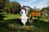 Daisy Edgar Jones Photocall Sense AND Sensibility Hot Pics