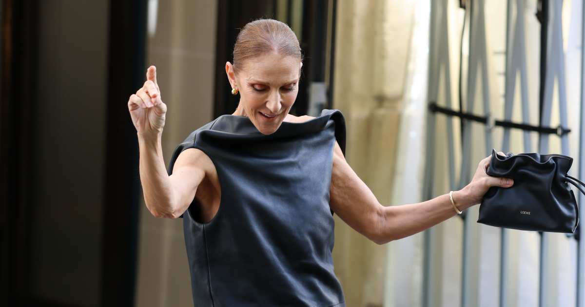 Celine Dion’s ,600 ‘Little Black Bag’ Is a Fall Outfit Maker — We Found a Twin for Celine Dion’s ,600 ‘Little Black Bag’ Is a Fall Outfit Maker — We Found a Twin for