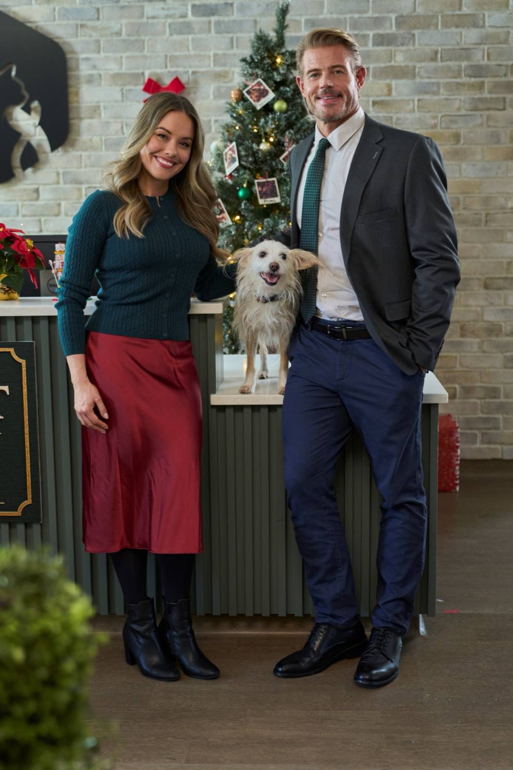 Great American Family 2026 Great American Christmas Lineup Trevor Donovan Stephanie Bennett Niffy 2