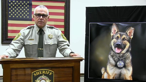 Handler Left K-9 Without Water in Kennel for 36 Hours