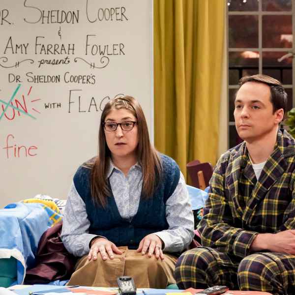 THE BIG BANG THEORY