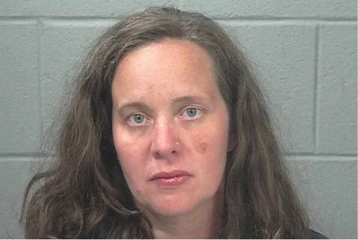 Mom Pleads Guilty to Manslaughter, Animal Cruelty After Leaving Daughter, 3, and Dog to Die in Hot Car
