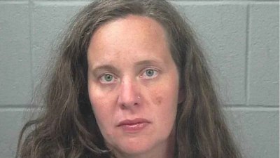 Mom Pleads Guilty to Manslaughter, Animal Cruelty After Leaving Daughter, 3, and Dog to Die in Hot Car