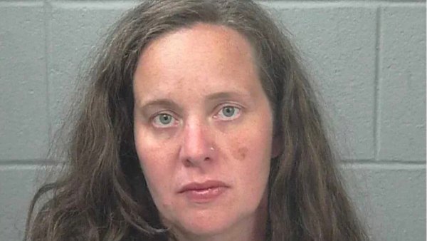 Mom Pleads Guilty to Manslaughter, Animal Cruelty After Leaving Daughter, 3, and Dog to Die in Hot Car