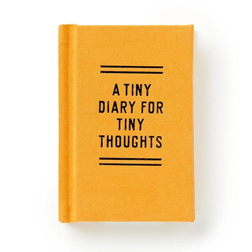 Galison A Tiny Diary for Tiny Thoughts