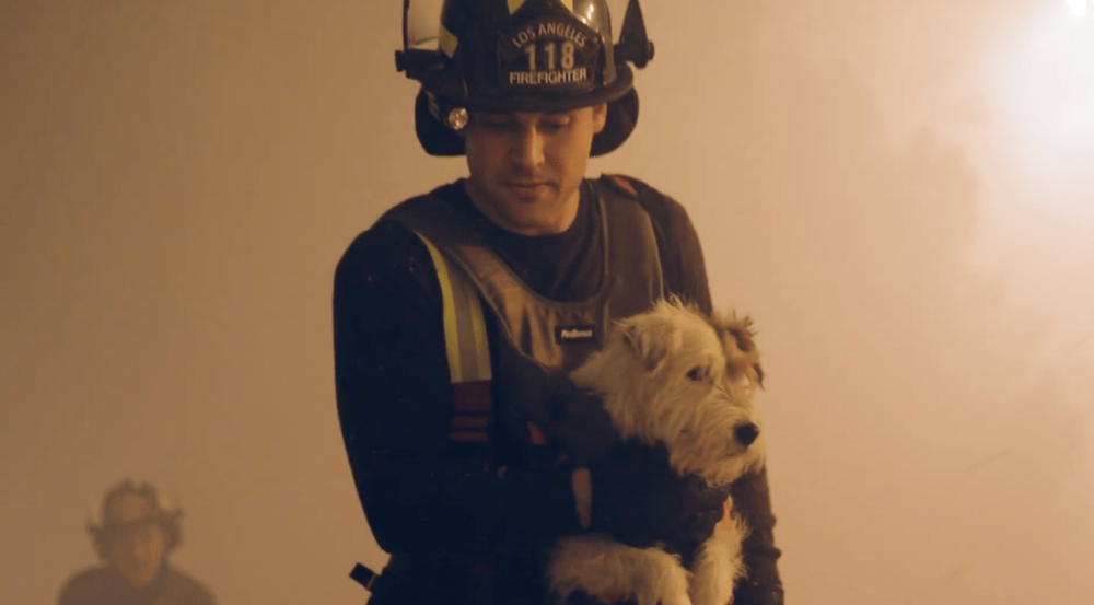 9-1-1