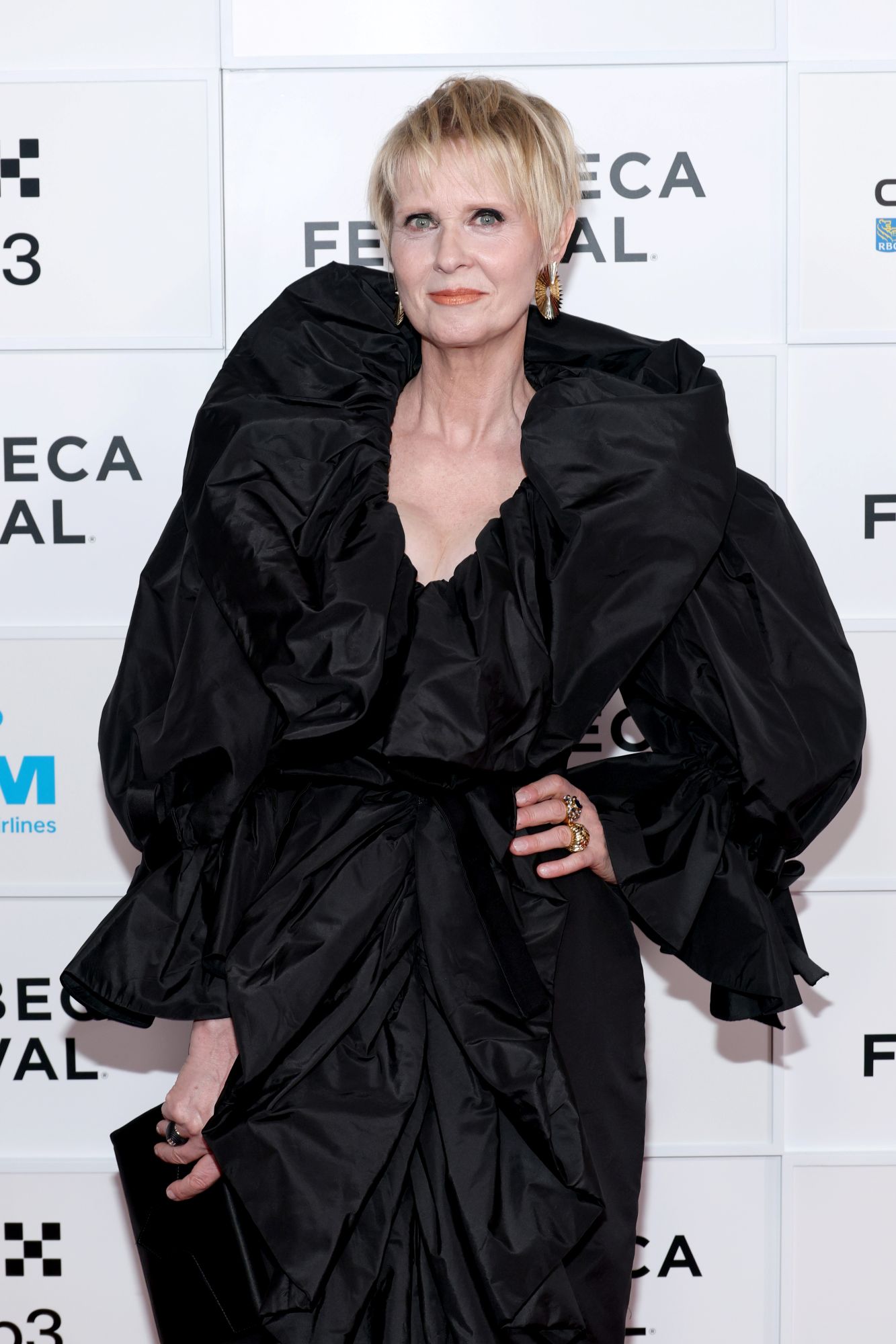 Cynthia Nixon Bio Pic