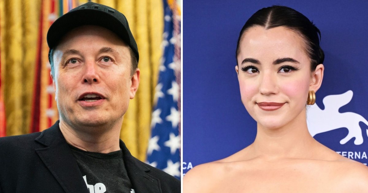 Elon Musk Cut Ashley St. Clair’s Child Support by Reported $80K, Doc Claims