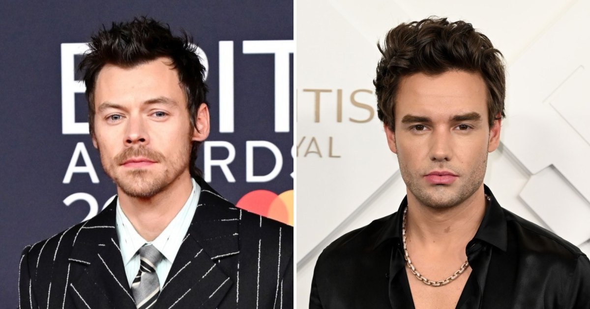 Harry Styles Performs New Song Written in Honor of Liam Payne 2 Years After His Death Harry Styles Performs New Song Written in Honor of Liam Payne 2 Years After His Death