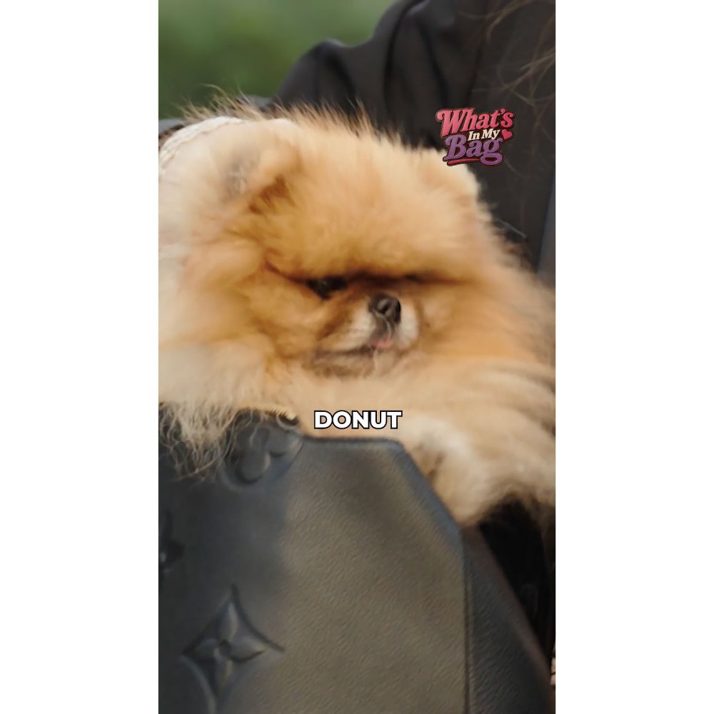 Lisa Vanderpump Packs Her Pomeranian Pup Donut and Spray for Extra Voluminous Hair
