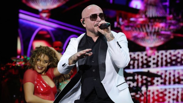 Pitbull-GettyImages-2273195283