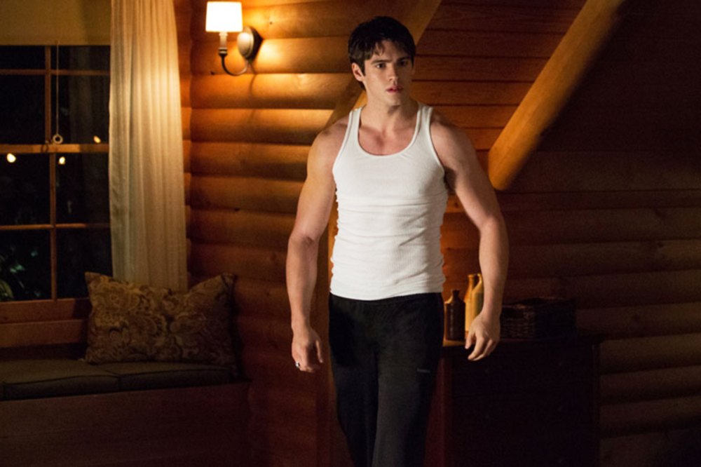 THE VAMPIRE DIARIES