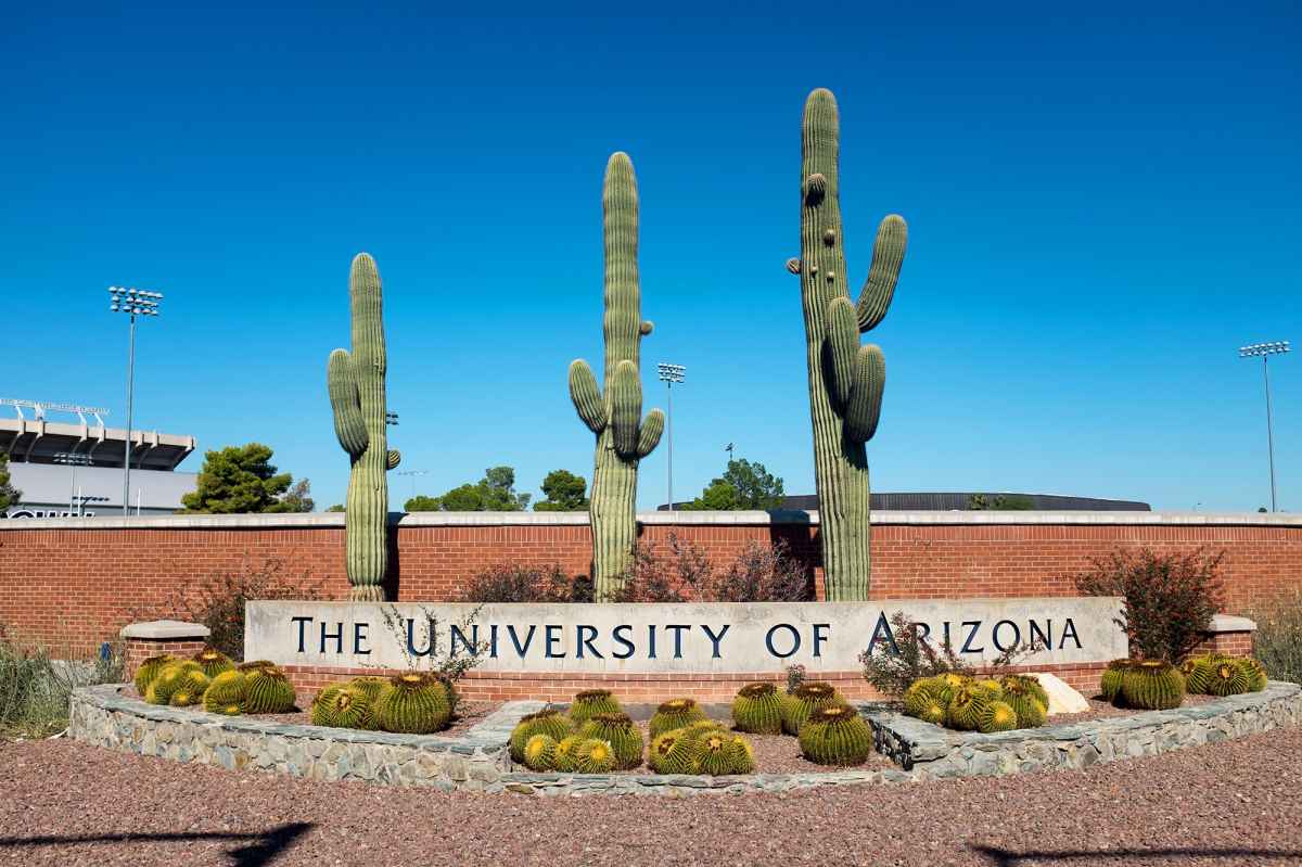 University of Arizona Suspends Sigma Phi Epsilon After Student Alleges Assault at Fraternity House