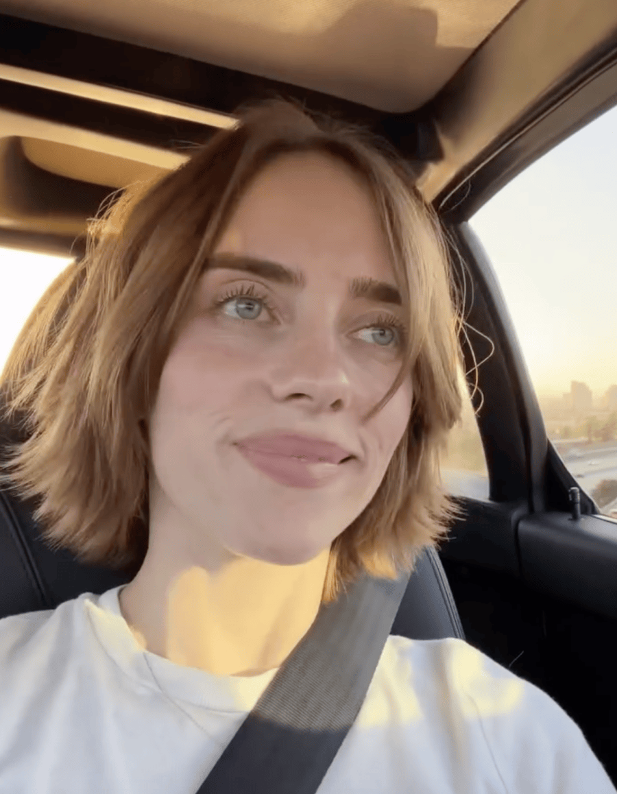 billie elish celebrity hair makeovers 2026