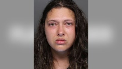 What Did Metallica Rose Harrison Do? Mother Allegedly Killed Husband and Son at Great Wolf Lodge