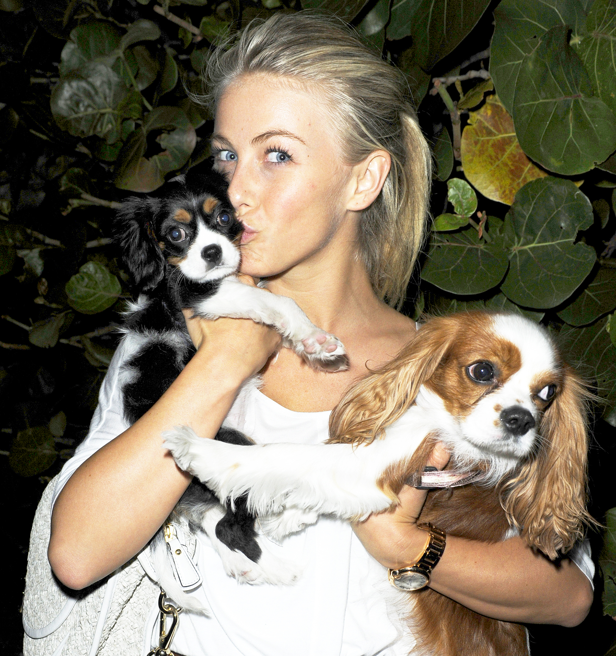 Julianne Hough's Dogs are Just Like Us!2000 x 2129